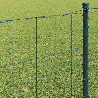 Eurozaun Grün 1,6 x 10 m PVC-beschichtetes Eisen