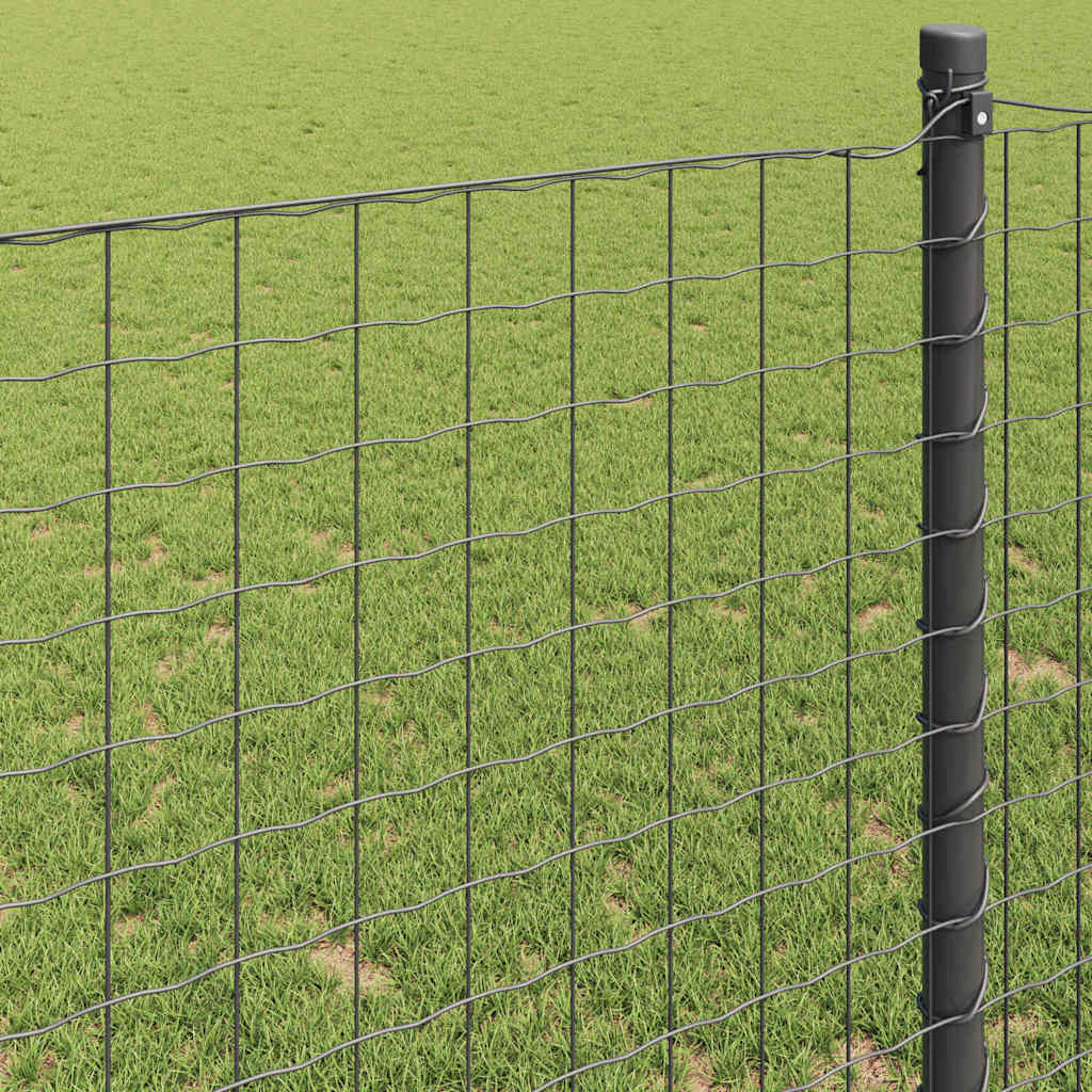 Eurozaun Grau 1 x 10 m PVC-beschichtetes Eisen