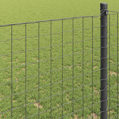 Eurozaun Grau 1 x 10 m PVC-beschichtetes Eisen