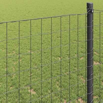 Eurozaun Grau 0,4 x 10 m PVC-beschichtetes Eisen