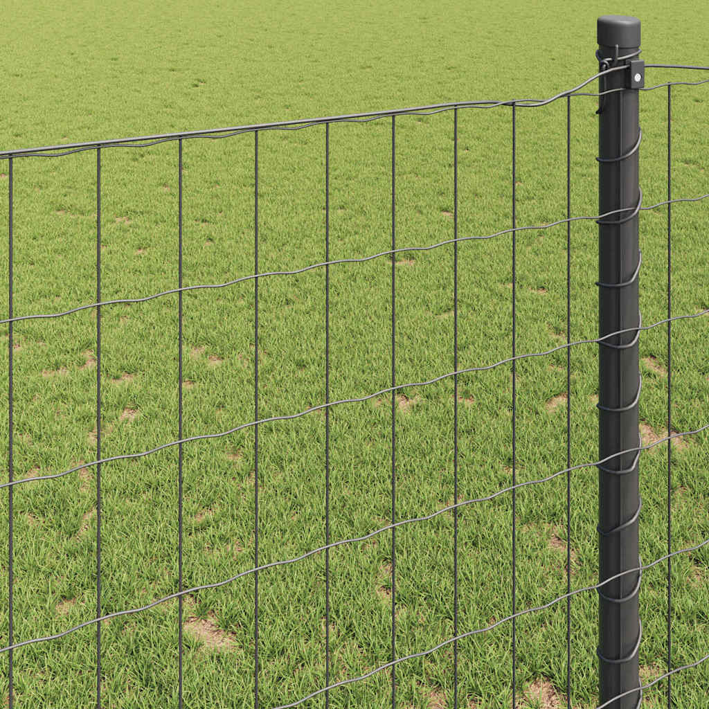 Eurozaun Grau 0,8 x 10 m PVC-beschichtetes Eisen