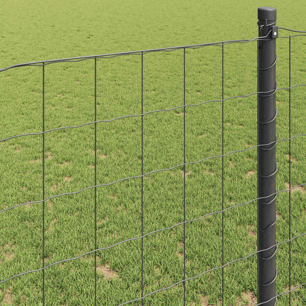 Eurozaun Grau 1,2 x 10 m PVC-beschichtetes Eisen