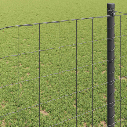 Eurozaun Grau 1,2 x 10 m PVC-beschichtetes Eisen