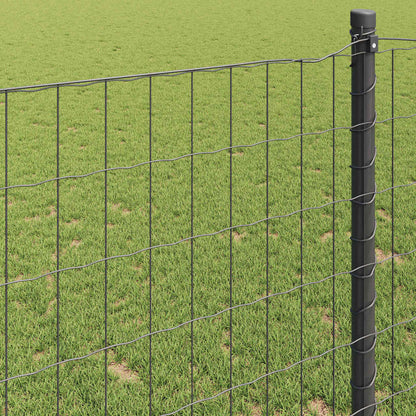 Eurozaun Grau 0,4 x 25 m PVC-beschichtetes Eisen