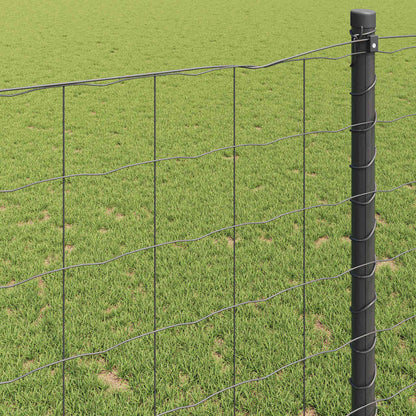 Eurozaun Grau 0.4 x 50 m PVC-beschichtetes Eisen