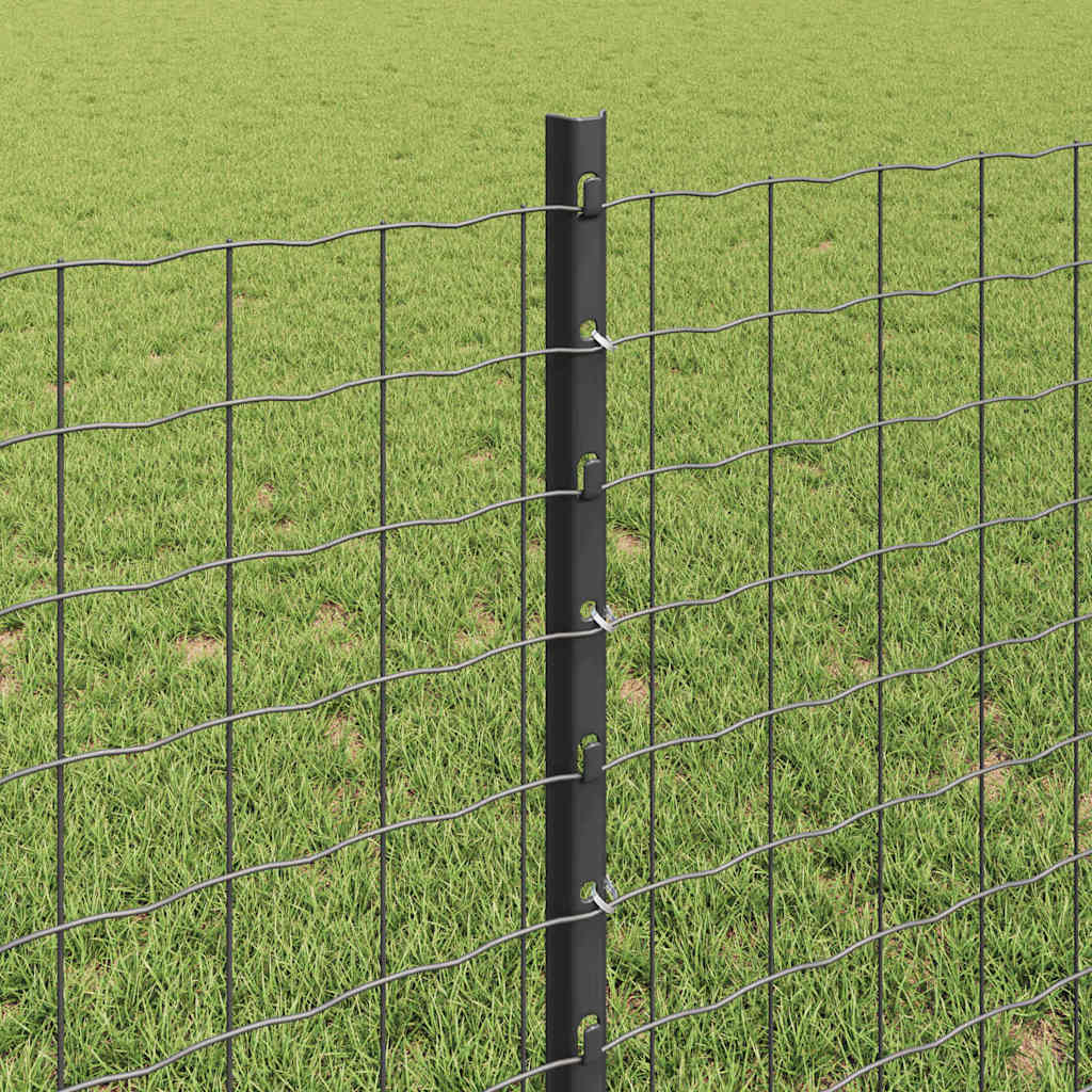 Zaun mit Pfosten Grau 0,8 x 10 m Stahl