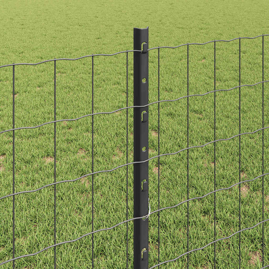 Zaun mit Pfosten Grau 0,8 x 10 m Stahl