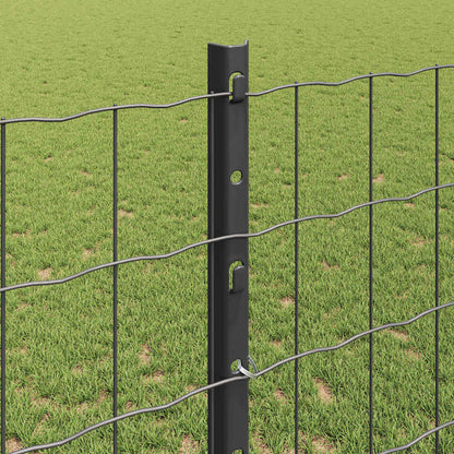 Zaun mit Pfosten Grau 1,2 x 10 m Stahl