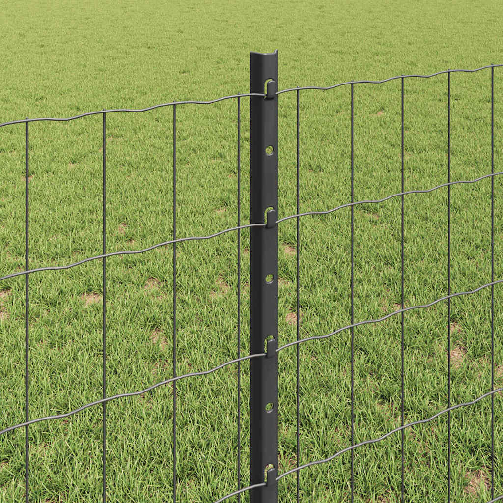 Zaun mit Pfosten Grau 0,8 x 25 m Stahl