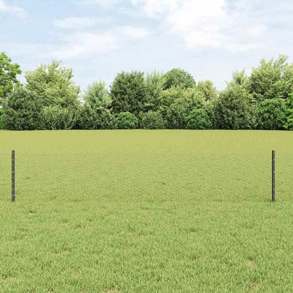 Zaun mit Pfosten Grau 0,4 x 10 m Stahl