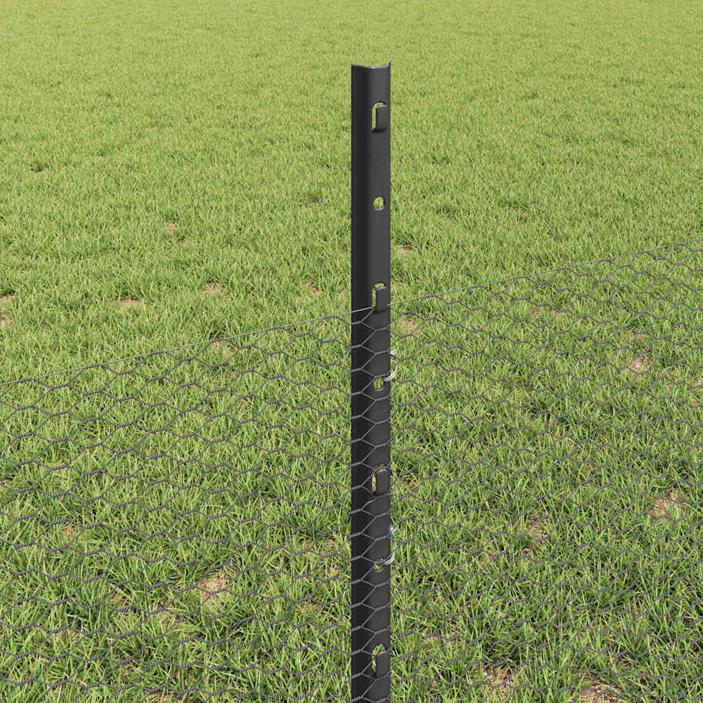 Zaun mit Pfosten Grau 0,5 x 10 m Stahl