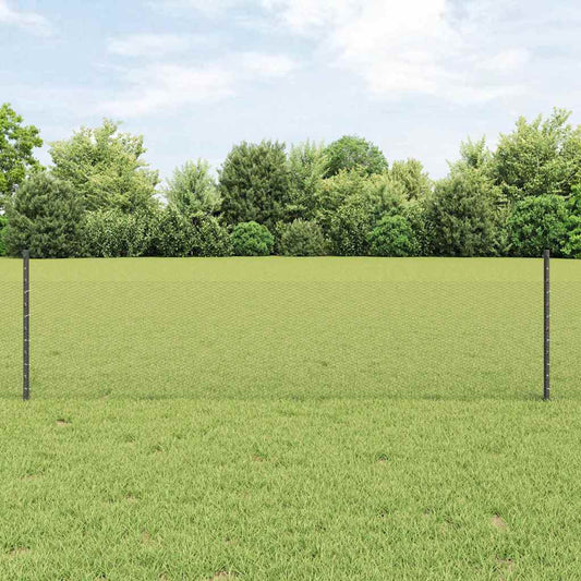 Zaun mit Pfosten Grau 0,5 x 10 m Stahl