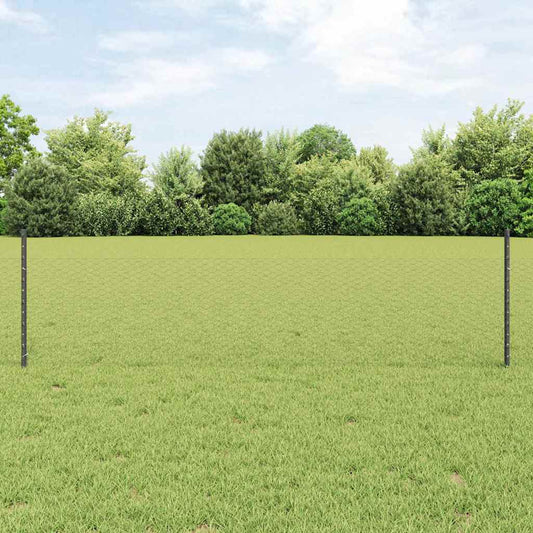 Zaun mit Pfosten Grau 0,5 x 10 m Stahl