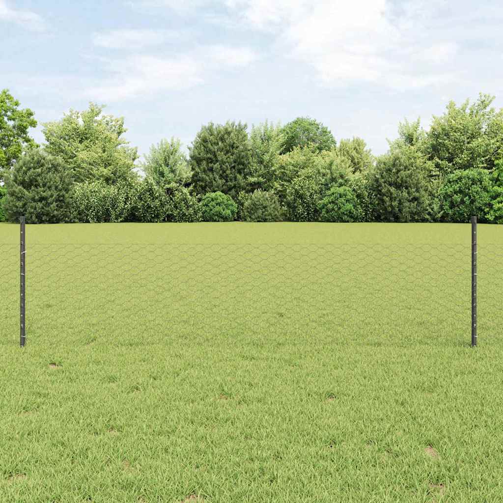 Zaun mit Pfosten Grau 0,5 x 10 m Stahl