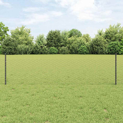 Zaun mit Pfosten Grau 0,5 x 10 m Stahl