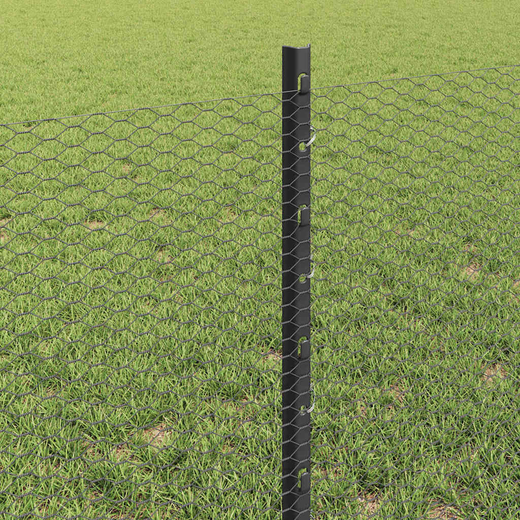 Zaun mit Pfosten Grau 0,6 x 10 m Stahl
