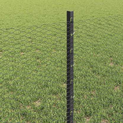 Zaun mit Pfosten Grau 0,6 x 10 m Stahl