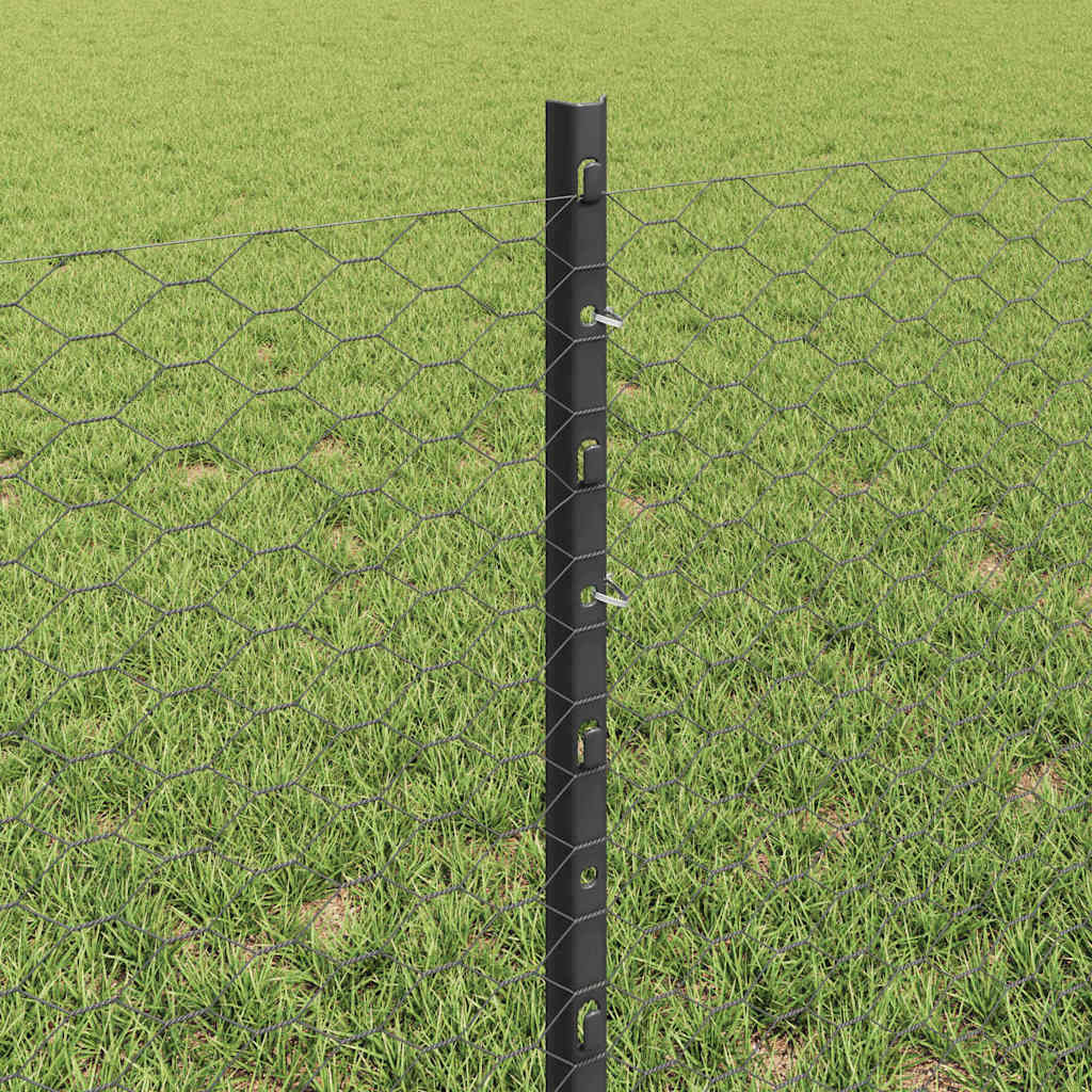Zaun mit Pfosten Grau 0,6 x 10 m Stahl
