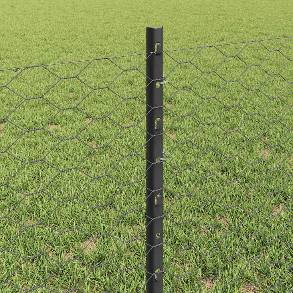 Zaun mit Pfosten Grau 0,6 x 10 m Stahl