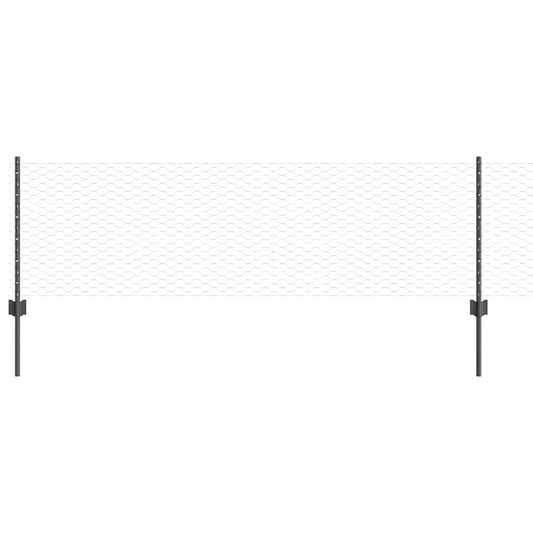 Zaun mit Pfosten Grau 0,6 x 10 m Stahl