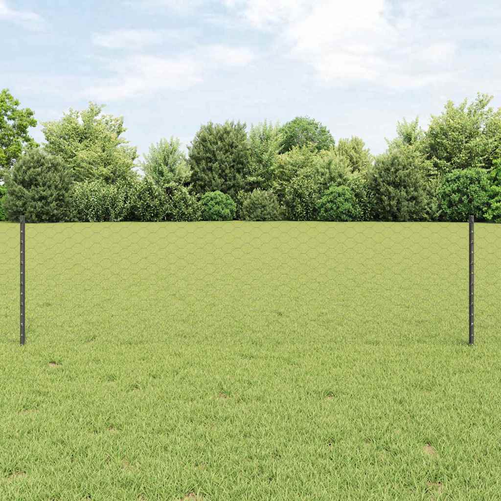 Zaun mit Pfosten Grau 0,6 x 10 m Stahl