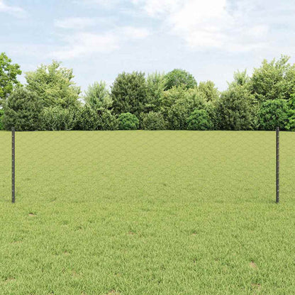 Zaun mit Pfosten Grau 0,6 x 10 m Stahl
