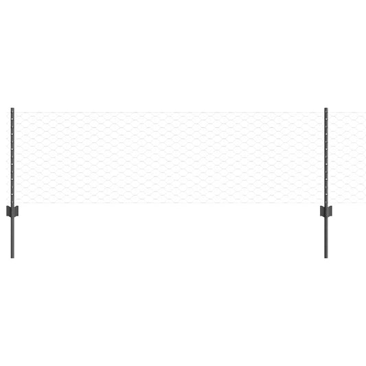 Zaun mit Pfosten Grau 0,6 x 10 m Stahl