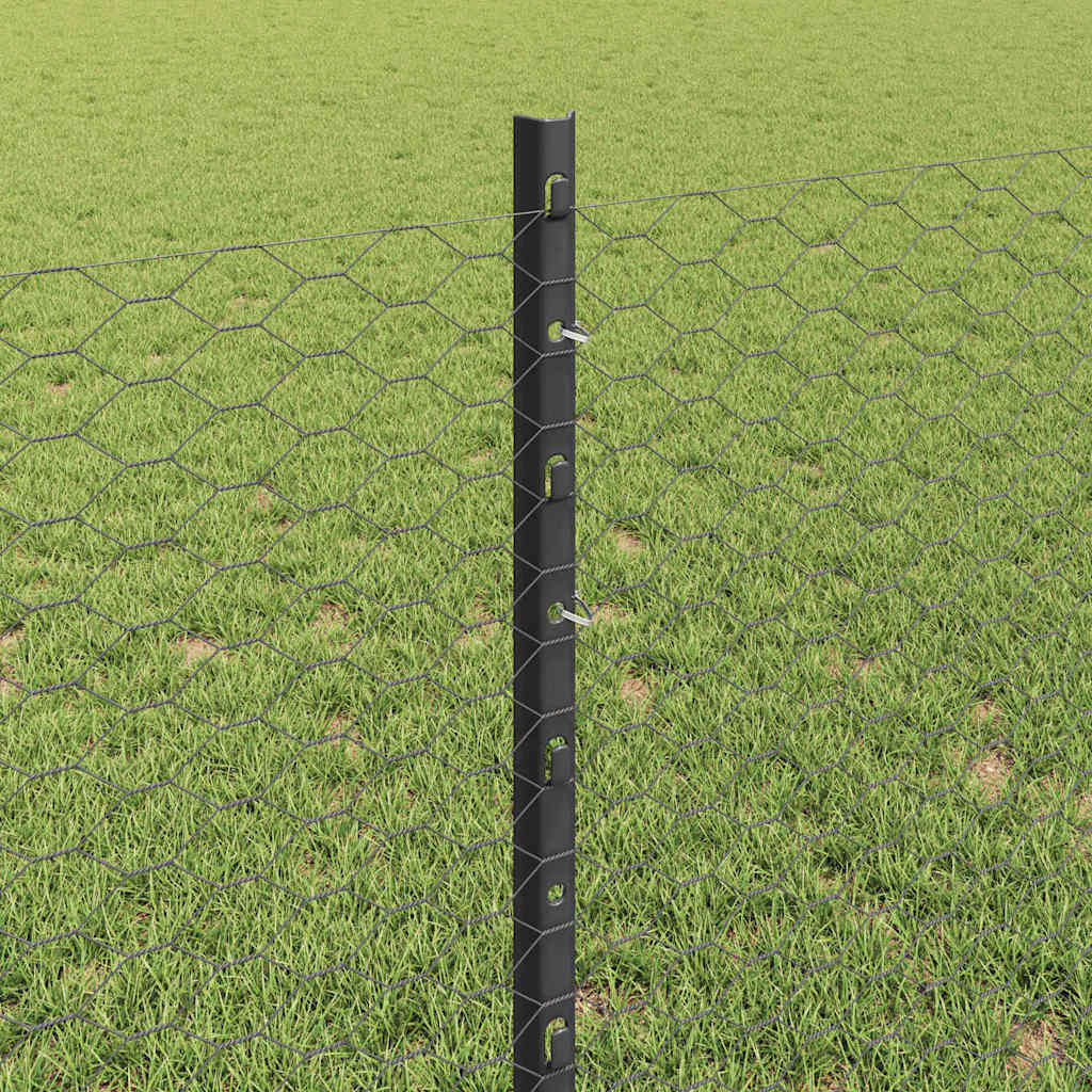 Zaun mit Pfosten Grau 0,8 x 10 m Stahl