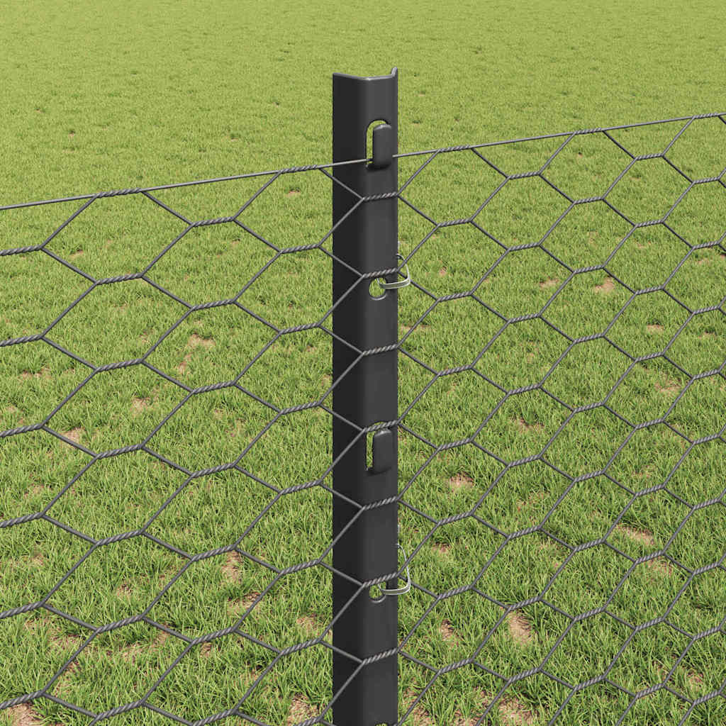 Zaun mit Pfosten Grau 1,2 x 10 m Stahl
