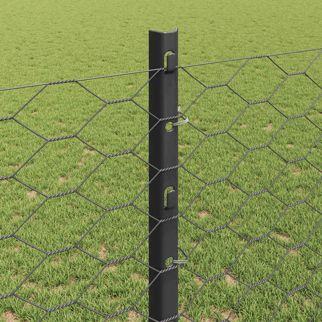 Zaun mit Pfosten Grau 1,2 x 10 m Stahl