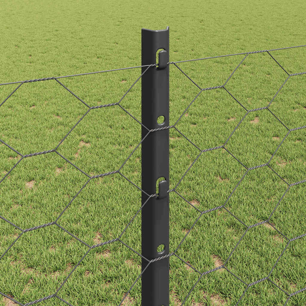 Zaun mit Pfosten Grau 1,2 x 10 m Stahl