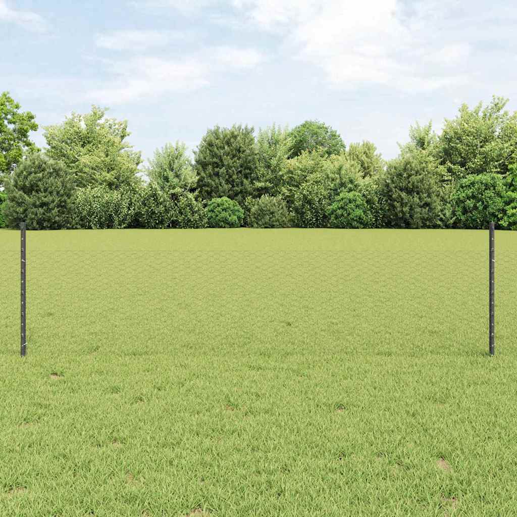 Zaun mit Pfosten Grau 0,5 x 25 m Stahl