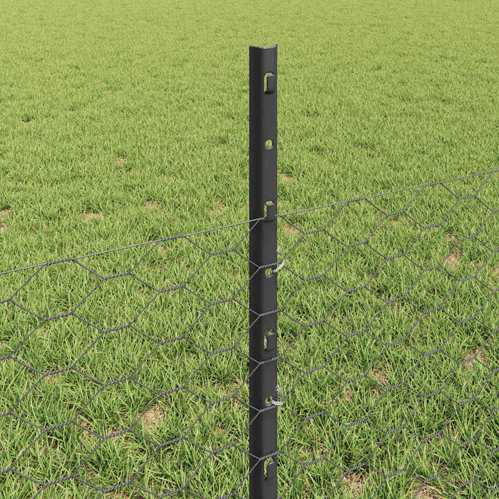 Zaun mit Pfosten Grau 0,5 x 25 m Stahl