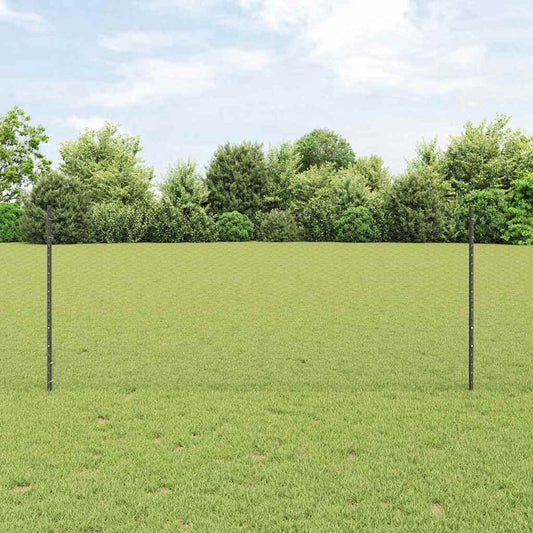 Zaun mit Pfosten Grau 1 x 25 m Stahl