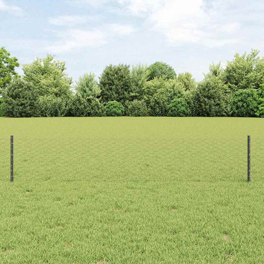Zaun mit Pfosten Grau 0.4 x 50 m Stahl