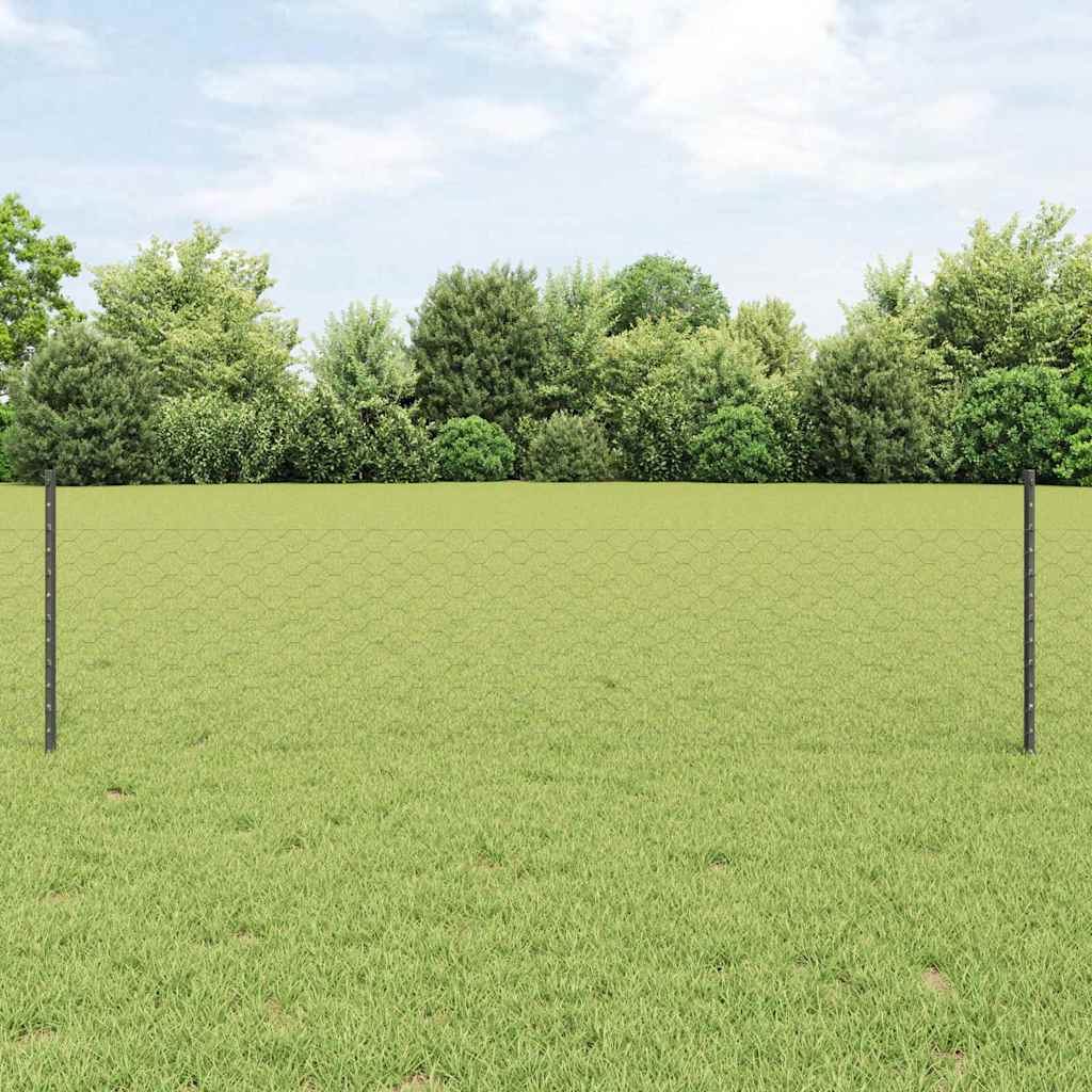 Zaun mit Pfosten Grau 0,5 x 50 m Stahl