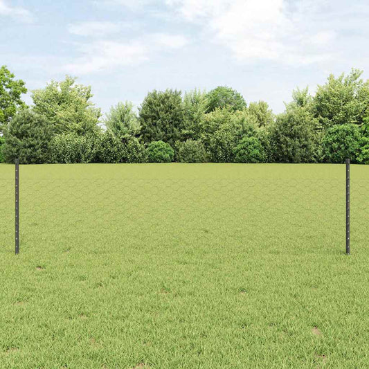 Zaun mit Pfosten Grau 0,5 x 50 m Stahl