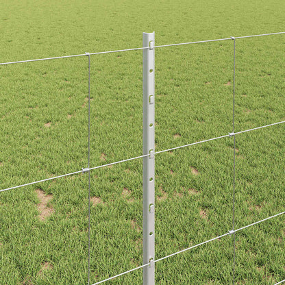 Zaun und Pfosten Silber 1 x 100 m Stahl