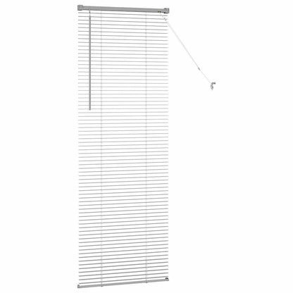 Fensterjalousie mit Vorhängen Manuell Silber Aluminium