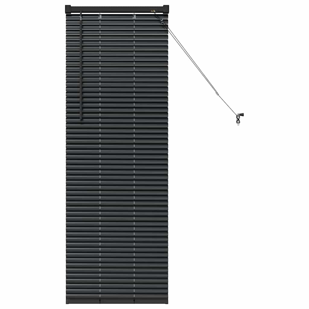 Fensterjalousie mit Vorhängen Schwarz Aluminium