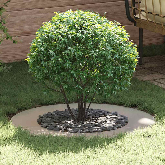 Flache Baumringe 5 pcs Silber Ø30 / 60 cm Edelstahl