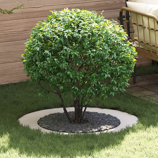 Flache Baumringe 5 pcs Weiß Ø60 / 90 cm Stahl