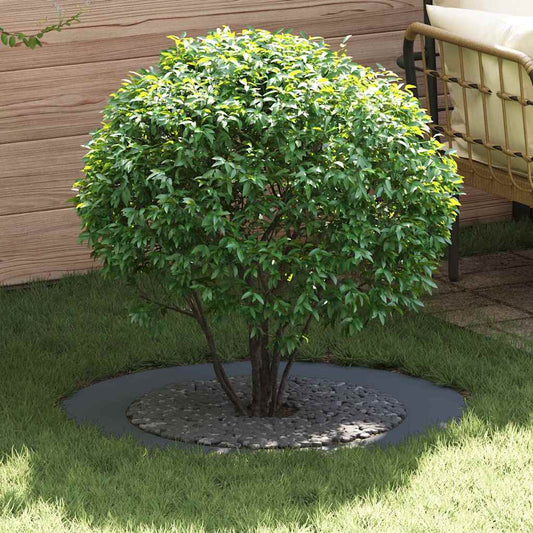 Flache Baumringe 5 pcs Anthrazit Ø60 / 90 cm Stahl