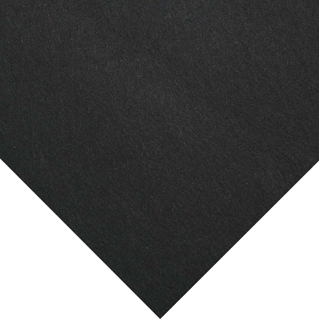 Bodenfolie für Pools Schwarz 500 x 250 cm Polyester-Geotextil