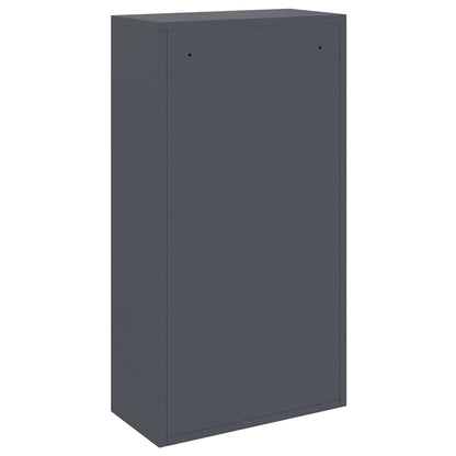 Paketdrop-Box mit Speicher Anthrazit 44 x 22 x 82 cm Stahl