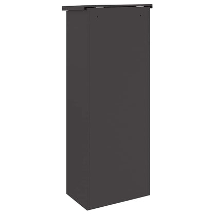 Paketdrop-Box Schwarz 44,5 x 29 x 110,5 cm Stahl