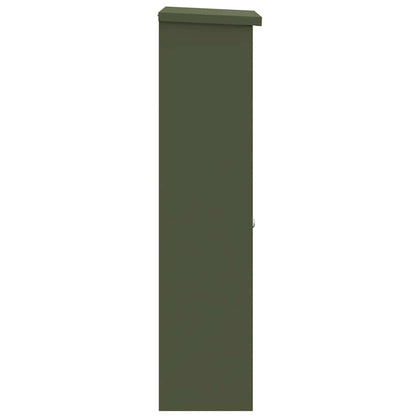 Paketdrop-Box Olivgrün 44,5 x 29 x 110,5 cm Stahl