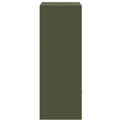Paketdrop-Box Olivgrün 41 x 38 x 103 cm Stahl