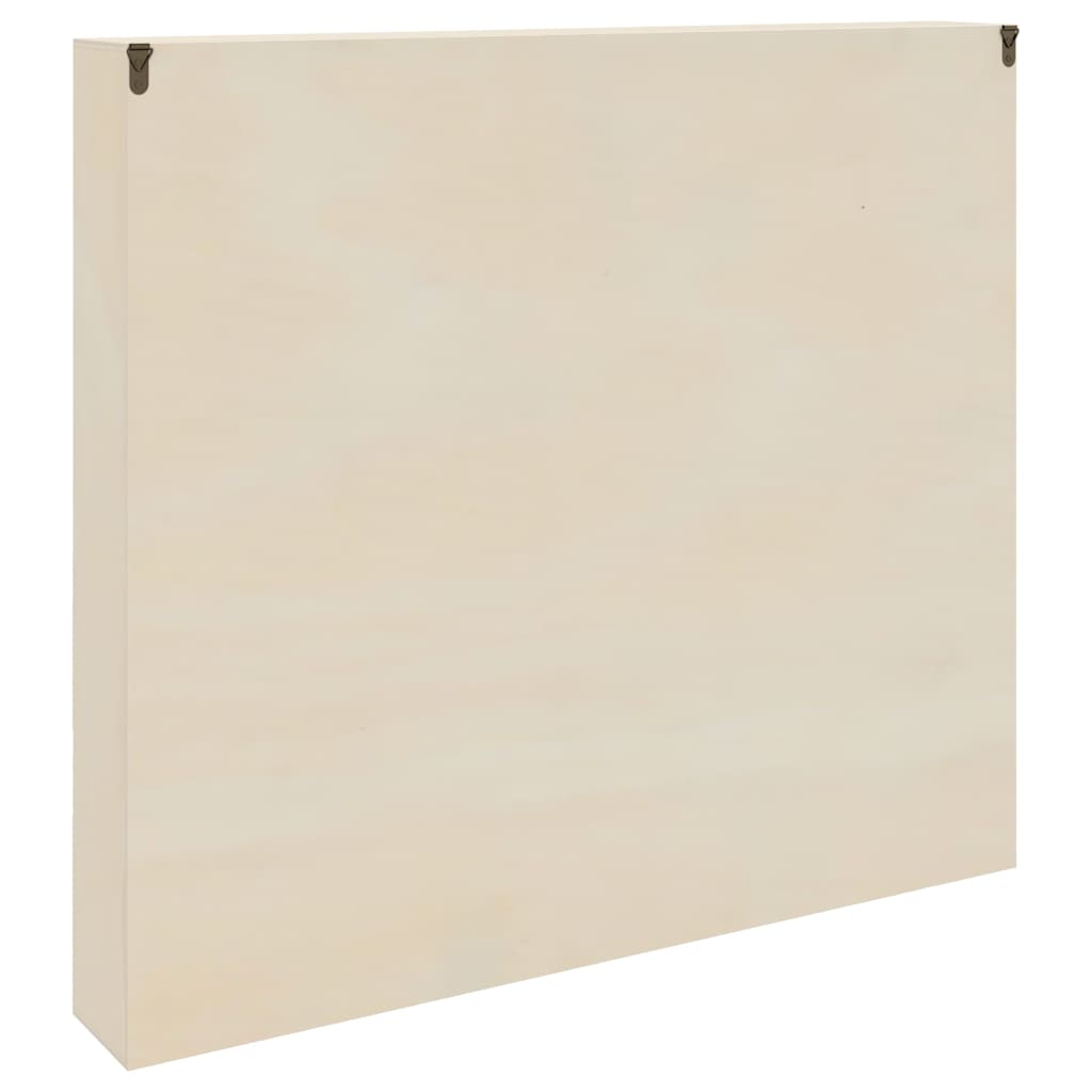 Holz-Sammelvitrine mit Regal Braun 60 x 8.5 x 54 cm Sperrholz