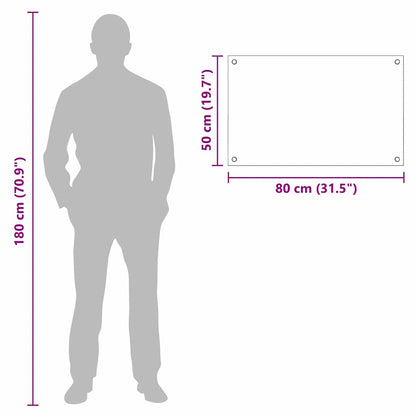 Küchenrückwand Transparent 80 x 50 cm Gehärtetes Glas